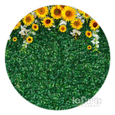 Sonnenblume Mit Grün Blätter Kreis Hochzeit Hintergrund